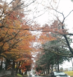 今日はこちらか...