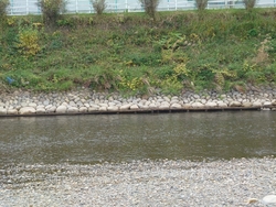 この日の黒川は...