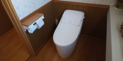 去年からウォシ...