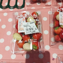 地元の新鮮なお...