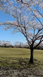 「うわぁ〜素敵...