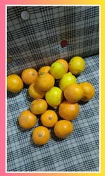 激混みでした。...