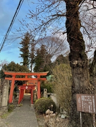 大田原では一番...