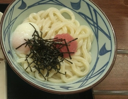 お昼に伺いまし...