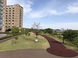 この公園は細長...