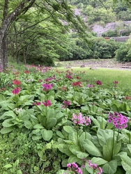 5月24日に訪...