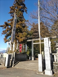 今年は辰年で御...