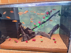 子どものお友達...