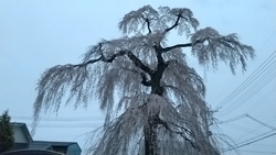 前々から気にな...