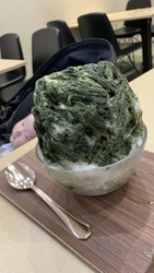 今年はまだ日光...