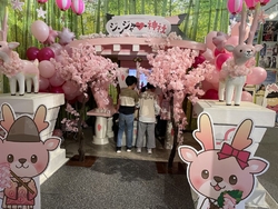 ずっと来てみた...