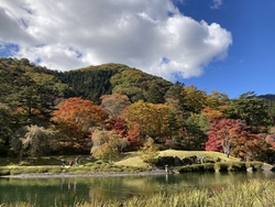紅葉が見ごろを...