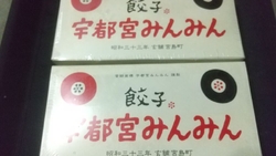 冷凍餃子をテイ...