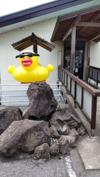 肌の乾燥が気に...