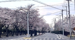 かしのもり公園...