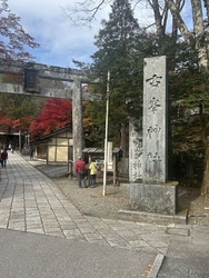 毎年恒例の紅葉...