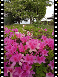土曜日に来まし...
