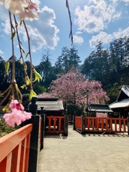 時折、吹き抜け...