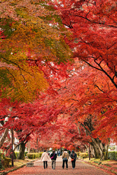 11月最後の日...