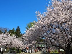 お天気に恵まれ...