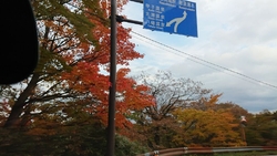 この季節、この...