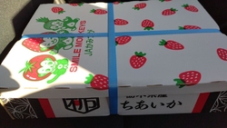 平日開店少し過...
