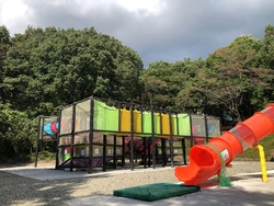 キツネノボリを...
