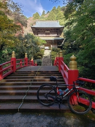 サイクリングで...