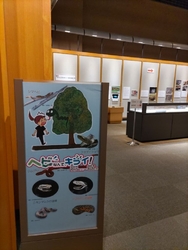 行きたかったき...
