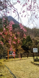 小滝地区の鉱山...
