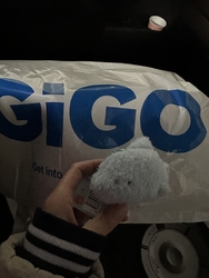 久しぶりのGi...