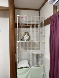 当日に電話で予...