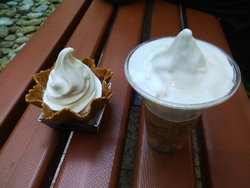 たまには季節の...