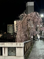 県都宇都宮の玄...