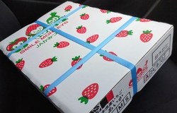 平日10時頃訪...