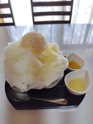 気になってたの...