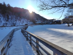湯ノ平湿原を歩...