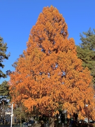 一昨日行ったば...