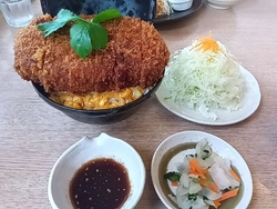 栃ナビ:はみだ...