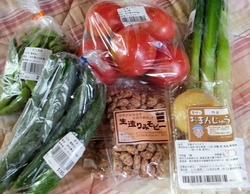 土曜9:30頃...