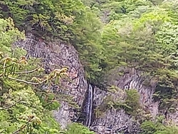昨年の夏に続き...