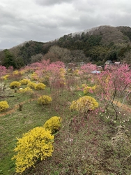 “富山舟戸いわ...