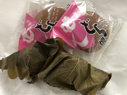 たまたま立ち寄...