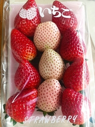 とちあいかとミ...