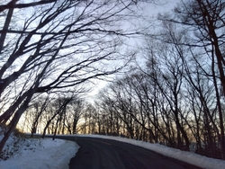 前日に引き続き...