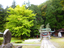 清滝にある清瀧...