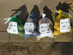 じゃがいもの種...