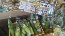 新鮮でおいしそ...