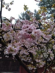 平日午後参拝。...