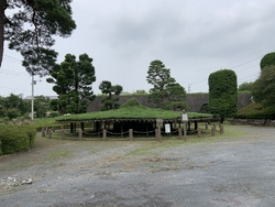 真岡市亀山1丁...